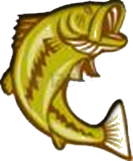 Icon-Fish-9