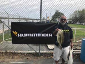 Man with large bass - Humminbird banner